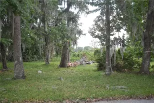 Lot 52 Blk C Lexington- Circle, Wildwood, FL 34785 - Photo 1