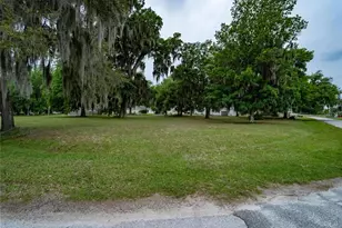 Lot 30 Blk C Oxford Ct, Wildwood, FL 34785 - Photo 1
