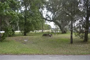Lot 61 Blk C Lexington Circle, Wildwood, FL 34785 - Photo 1