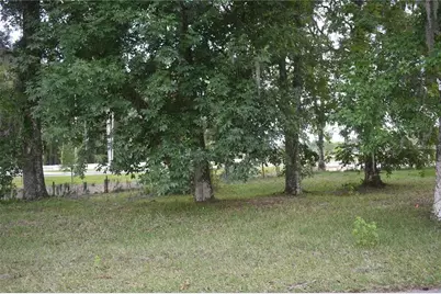 Lot 60 Blk C Lexington Circle, Wildwood, FL 34785 - Photo 3
