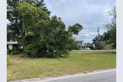 Clara Avenue, Tavares, FL 32778 - Photo 3