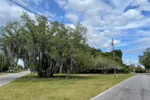 Clara Ave, Tavares, FL 32778 - Photo 1