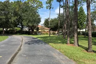 10734 Woodchase Cir, Orlando, FL 32836 - Photo 41