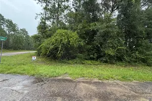 482 W Cabot Ln, Citrus Springs, FL 34434 - Photo 1