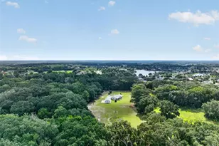 34231 Marshall Rd, Eustis, FL 32736 - Photo 47