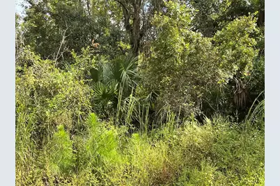 County Road 48, Yalaha, FL 34797 - Photo 21