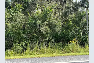 County Road 48, Yalaha, FL 34797 - Photo 11