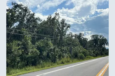 County Road 48, Yalaha, FL 34797 - Photo 3