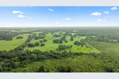 County Road 774, Webster, FL 33597 - Photo 17