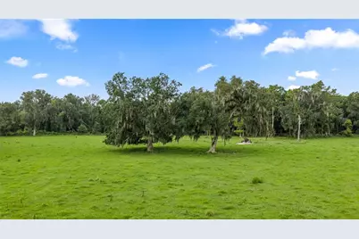County Road 774, Webster, FL 33597 - Photo 15