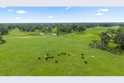 County Road 774, Webster, FL 33597 - Photo 3