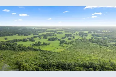 County Road 774, Webster, FL 33597 - Photo 19