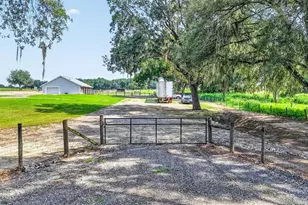 14125 SE 175th St, Weirsdale, FL 32195 - Photo 3