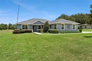 18145 Great Blue Heron Dr, Groveland, FL 34736 - Photo 1