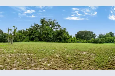 Trotting Horse Lane, Tavares, FL 32778 - Photo 49