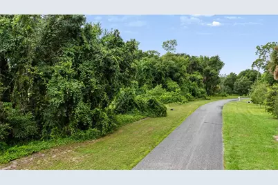 Trotting Horse Lane, Tavares, FL 32778 - Photo 45