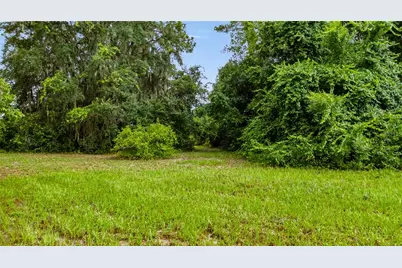 Trotting Horse Lane, Tavares, FL 32778 - Photo 47