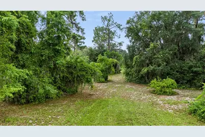 Trotting Horse Lane, Tavares, FL 32778 - Photo 15