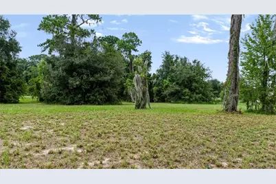 Trotting Horse Lane, Tavares, FL 32778 - Photo 9
