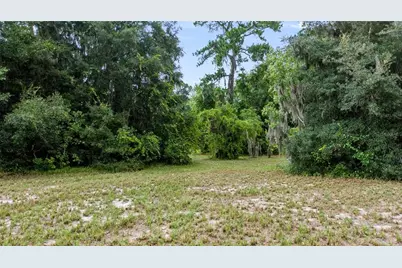 Trotting Horse Lane, Tavares, FL 32778 - Photo 7