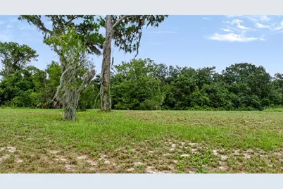 Trotting Horse Lane, Tavares, FL 32778 - Photo 5