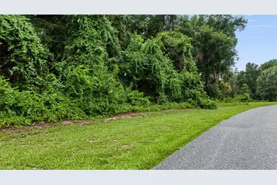 Trotting Horse Lane, Tavares, FL 32778 - Photo 11