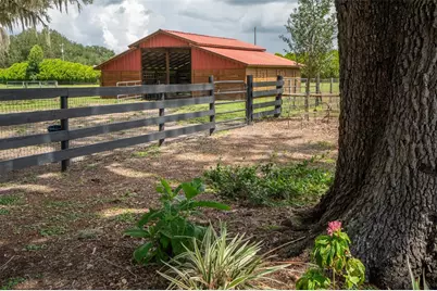 2242 Cr 543, Sumterville, FL 33585 - Photo 51