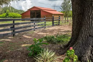 2242 Cr 543, Sumterville, FL 33585 - Photo 51