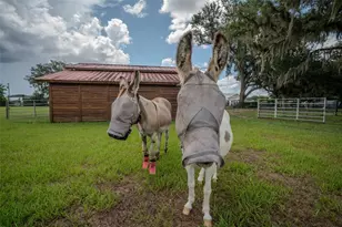 2242 Cr 543, Sumterville, FL 33585 - Photo 55