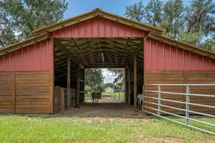 2242 Cr 543, Sumterville, FL 33585 - Photo 51