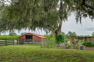 2242 Cr 543, Sumterville, FL 33585 - Photo 59