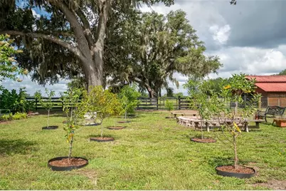 2242 Cr 543, Sumterville, FL 33585 - Photo 47