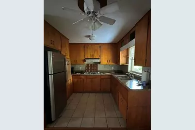 248 S Clayton Street, Mount Dora, FL 32757 - Photo 3