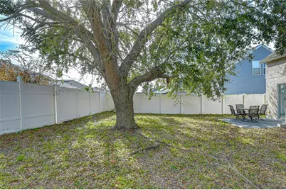 24640 Siena Drive, Lutz, FL 33559 - Photo 47