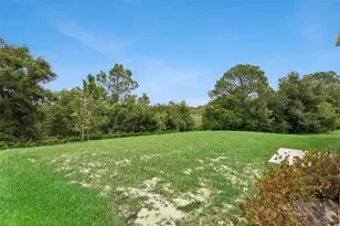 33622 Sky Blossom Cir, Leesburg, FL 34788 - Photo 35