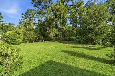 1875 Stacey Drive, Mount Dora, FL 32757 - Photo 35