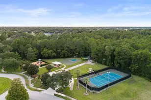 2019 Capri Ln, Mount Dora, FL 32757 - Photo 67