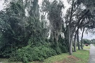 446 Quail St., Lady Lake, FL 32159 - Photo 15