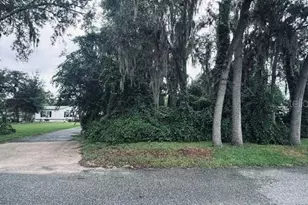 446 Quail St., Lady Lake, FL 32159 - Photo 13