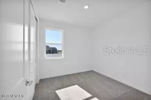347 Fishtail Pl, Palm Coast, FL 32164 - Photo 21