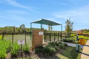 13350 Peaceful Melody Dr, Winter Garden, FL 34787 - Photo 3