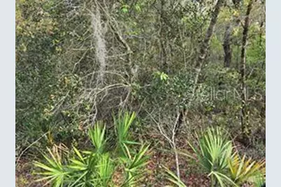 Cr 245D, Oxford, FL 34484 - Photo 1