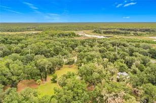 26586 SE Hwy 42, Umatilla, FL 32784 - Photo 53