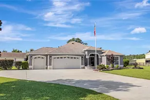 4190 Co Rd 121D, Wildwood, FL 34785 - Photo 3