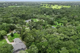 30440 Jubilee Way, Sorrento, FL 32776 - Photo 47