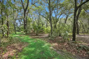 30440 Jubilee Way, Sorrento, FL 32776 - Photo 43