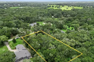 30440 Jubilee Way, Sorrento, FL 32776 - Photo 47