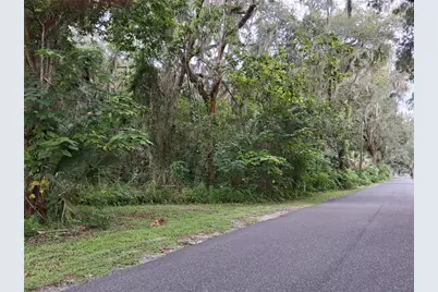 County Rd 730, Webster, FL 33597 - Photo 1