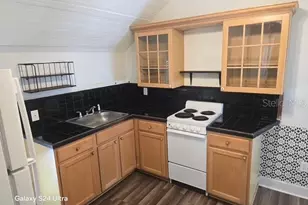 7306 Earlwood Ave, Mount Dora, FL 32757 - Photo 3