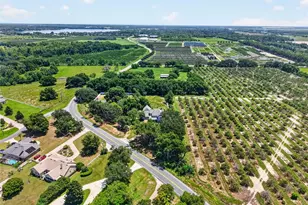 17730 County Rd 448, Mount Dora, FL 32757 - Photo 61